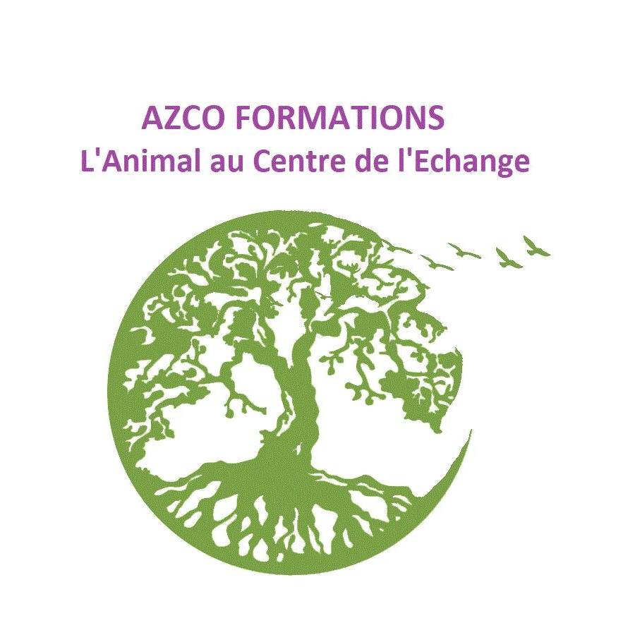 AZCO Formations